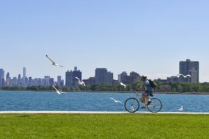 Bicyclist riding along Lake Michigan with seagulls and Chicago skyline in background